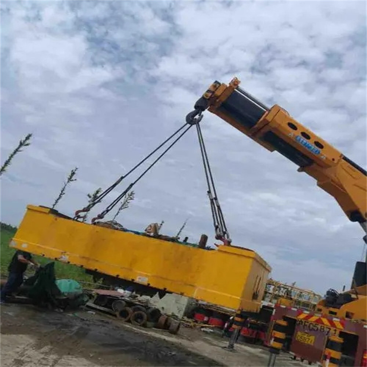 排湖风景区吊运集装箱的吊车